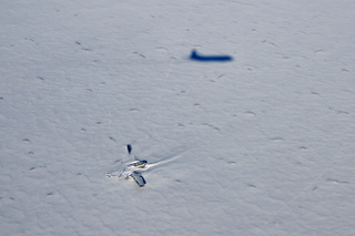 Illustration for article titled NASA Spots Wreckage Of Cold-War Era B-29 On Greenland Icesheet